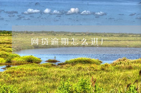 网贷逾期怎么进厂 网贷逾期怎么进厂