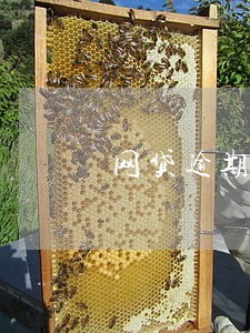 网贷逾期怎么逃避 网贷逾期怎么逃避