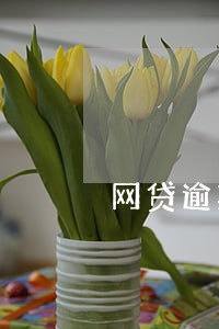 网贷逾期怎么避免给单位打电话 网贷逾期怎么避免给单位打电话