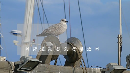 网贷逾期怎么防暴通讯 网贷逾期怎么防暴通讯