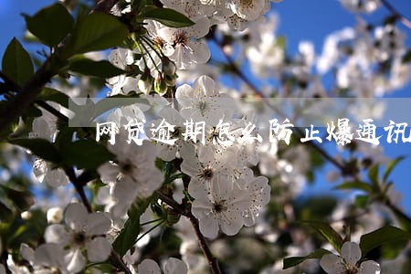 网贷逾期怎么防止爆通讯录 网贷逾期怎么防止爆通讯录