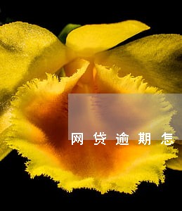 网贷逾期怎样不泄露联系人 网贷逾期怎样不泄露联系人