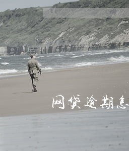 网贷逾期怎样停息