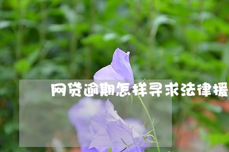 网贷逾期怎样寻求法律援助 网贷逾期怎样寻求法律援助