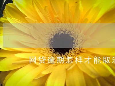 网贷逾期怎样才能取消 网贷逾期怎样才能取消