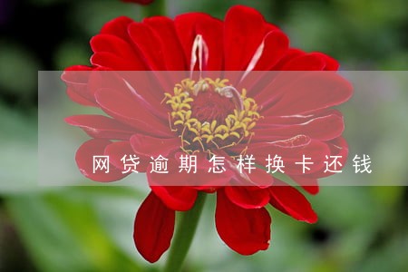 网贷逾期怎样换卡还钱 网贷逾期怎样换卡还钱