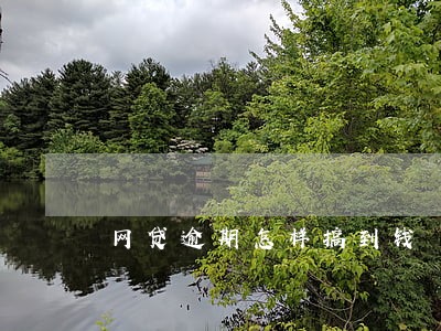 网贷逾期怎样搞到钱 网贷逾期怎样搞到钱