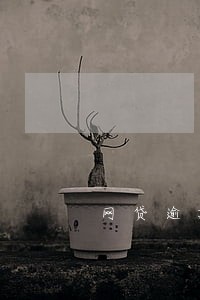 网贷逾期怎样查被起诉 网贷逾期怎样查被起诉
