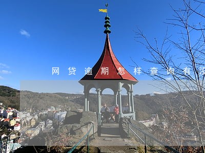 网贷逾期怎样查询有没有被起诉 网贷逾期怎样查询有没有被起诉