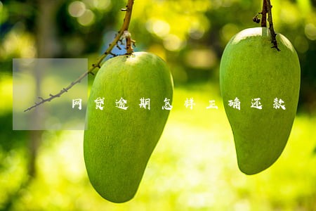 网贷逾期怎样正确还款 网贷逾期怎样正确还款