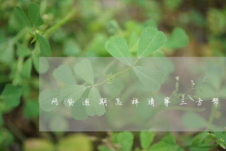 网贷逾期怎样请第三方帮忙协商 网贷逾期怎样请第三方帮忙协商
