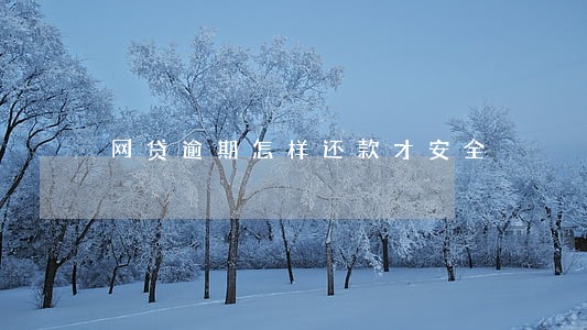 网贷逾期怎样还款才安全 网贷逾期怎样还款才安全