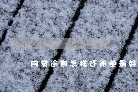 网贷逾期怎样还账单最好 网贷逾期怎样还账单最好