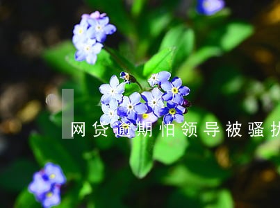 网贷逾期怕领导被骚扰我提出辞职 网贷逾期怕领导被骚扰我提出辞职