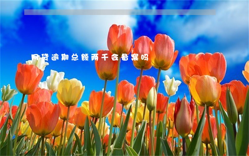 网贷逾期总额两千会备案吗 网贷逾期总额两千会备案吗