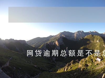 网贷逾期总额是不是总欠款 网贷逾期总额是不是总欠款
