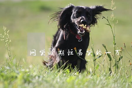 网贷逾期恒易贷的一万 网贷逾期恒易贷的一万
