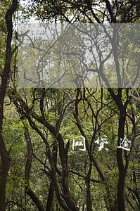 网贷逾期息太高合法吗 网贷逾期息太高合法吗