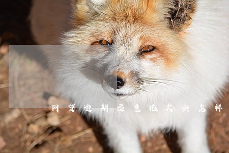 网贷逾期恶意拖欠会怎样 网贷逾期恶意拖欠会怎样