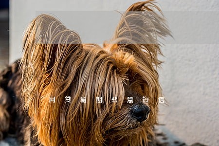 网贷逾期恶意短信 网贷逾期恶意短信