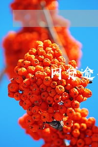 网贷逾期恶意被骚扰怎么举报 网贷逾期恶意被骚扰怎么举报