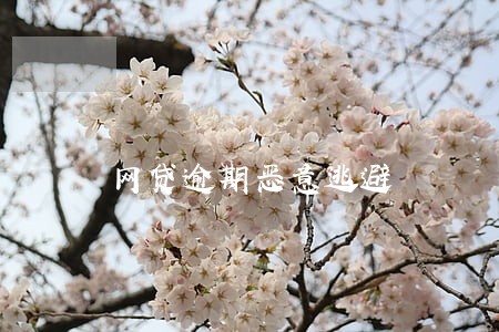 网贷逾期恶意逃避 网贷逾期恶意逃避