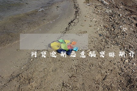 网贷逾期恶意骗贷排期开庭
