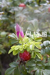 网贷逾期恶意骚扰家人