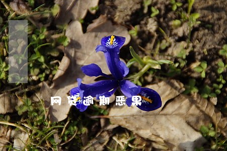 网贷逾期恶果 网贷逾期恶果