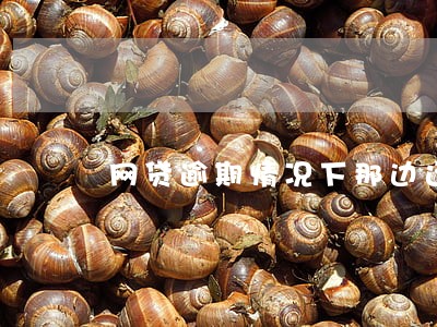 网贷逾期情况下那边还能借 网贷逾期情况下那边还能借