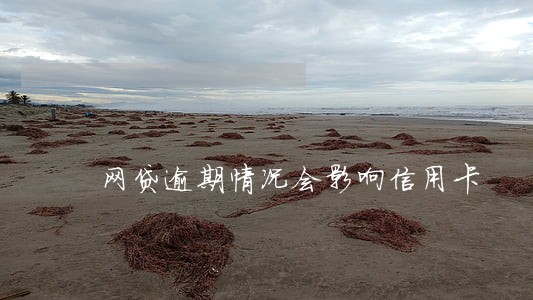 网贷逾期情况会影响信用卡