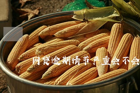 网贷逾期情节严重会不会被判刑