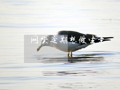网贷逾期想做生意 网贷逾期想做生意