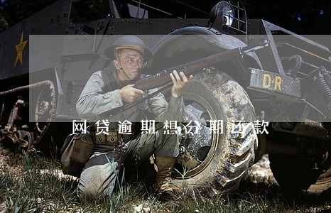 网贷逾期想分期还款 网贷逾期想分期还款