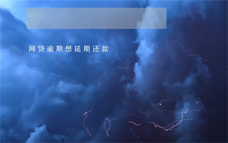 网贷逾期想延期还款 网贷逾期想延期还款