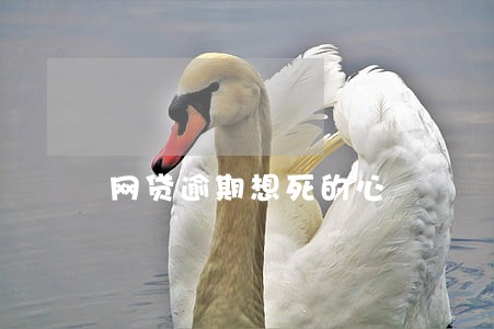 网贷逾期想死的心 网贷逾期想死的心