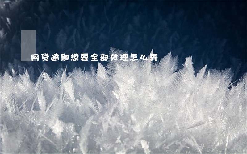 网贷逾期想要全部处理怎么弄 网贷逾期想要全部处理怎么弄