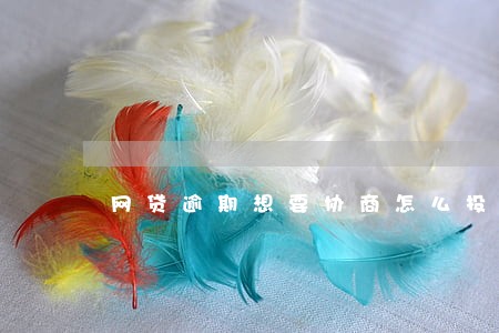网贷逾期想要协商怎么投诉 网贷逾期想要协商怎么投诉