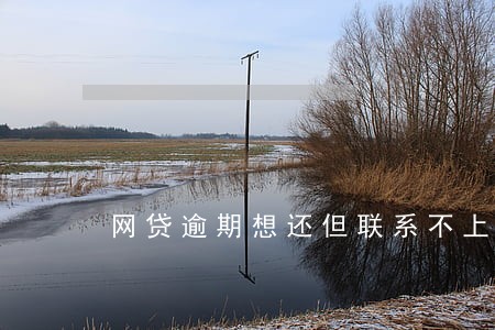 网贷逾期想还但联系不上平台
