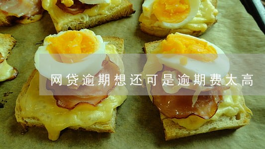 网贷逾期想还可是逾期费太高 网贷逾期想还可是逾期费太高