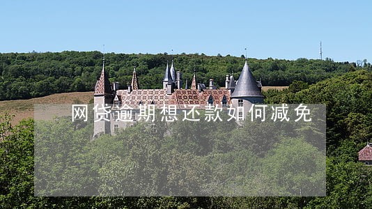 网贷逾期想还款如何减免