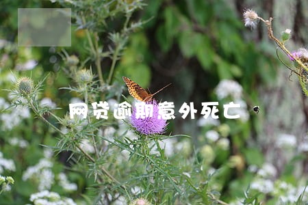 网贷逾期意外死亡