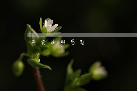 网贷逾期感想 网贷逾期感想