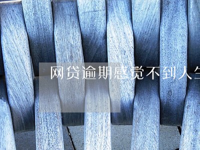 网贷逾期感觉不到人生的意义了 网贷逾期感觉不到人生的意义了