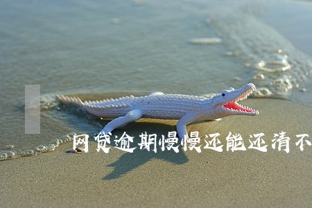 网贷逾期慢慢还能还清不 网贷逾期慢慢还能还清不