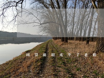 网贷逾期成不了老赖 网贷逾期成不了老赖