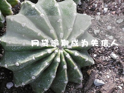 网贷逾期成为失信人 网贷逾期成为失信人
