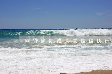 网贷逾期成为失信被执行人 网贷逾期成为失信被执行人