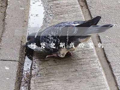 网贷逾期成功案例 网贷逾期成功案例
