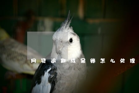 网贷逾期成呆账怎么处理 网贷逾期成呆账怎么处理